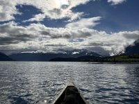 IMG_2560.jpeg