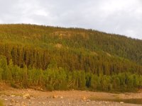 2025-08-28 19-01-43_P1070178.JPG