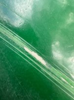 IMG_9962.jpeg