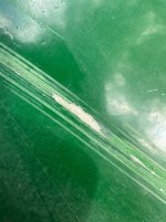 IMG_9963.jpeg