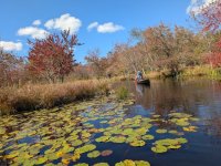 Into water prairie.jpg