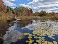 In water prairie.jpg