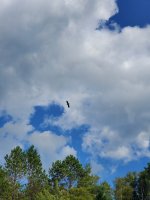 20210904_153334.jpg 20210904_153334.jpg