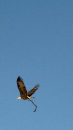 IMG_3640.jpeg