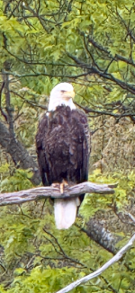 IMG_2354.png