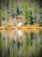 tent across water.jpeg tent across water.jpeg