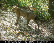 1761657860960.png 1761657860960.png