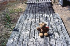 1761699779672.jpeg 1761699779672.jpeg