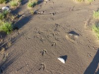 2025-09-01 07-17-59_P1070266.JPG