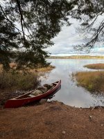 IMG_3660.jpeg IMG_3660.jpeg