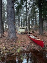 IMG_3665.jpeg IMG_3665.jpeg