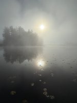 IMG_3707.jpeg IMG_3707.jpeg