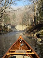 IMG_3721.jpeg IMG_3721.jpeg