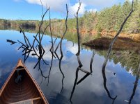 IMG_3730.jpeg IMG_3730.jpeg