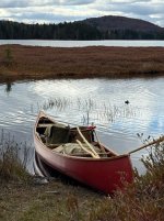 IMG_3754.jpeg IMG_3754.jpeg