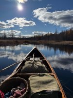 IMG_3760.jpeg IMG_3760.jpeg