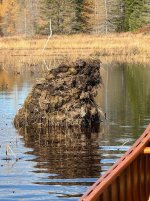 IMG_3759.jpeg IMG_3759.jpeg