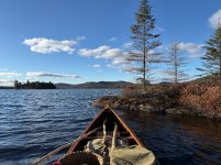 IMG_3761.jpeg IMG_3761.jpeg