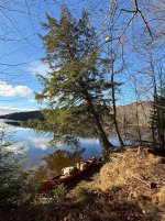 IMG_3782.jpeg IMG_3782.jpeg