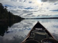 IMG_3784.jpeg IMG_3784.jpeg