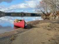 IMG_3788.jpeg IMG_3788.jpeg