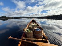 IMG_3793.jpeg IMG_3793.jpeg