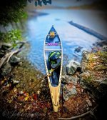 Hemlock Eaglet Shelving Rock Point Lake George NY October 18th 2025_01©.jpg Hemlock Eaglet Shelving Rock Point Lake George NY October 18th 2025_01©.jpg