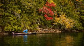 Joe Geronimo Hemlock Eaglet October 18th 2025 Lake George, NY.jpg Joe Geronimo Hemlock Eaglet October 18th 2025 Lake George, NY.jpg