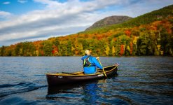 Joe Geronimo Hemlock Eaglet Lake George NY October 18th 2025_02.jpg Joe Geronimo Hemlock Eaglet Lake George NY October 18th 2025_02.jpg