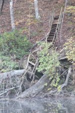 1000006904.jpg 1000006904.jpg