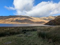 PXL_20251027_133700983.jpg PXL_20251027_133700983.jpg