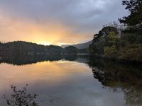 PXL_20251027_074340133.jpg PXL_20251027_074340133.jpg