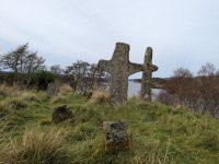 PXL_20251030_104814092.jpg PXL_20251030_104814092.jpg