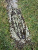 PXL_20251030_105842412.jpg PXL_20251030_105842412.jpg