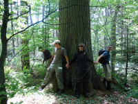 1762178421464.png 1762178421464.png