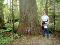 1762178597924.png 1762178597924.png