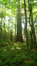 1762178643830.png 1762178643830.png