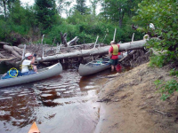 1762179534194.png 1762179534194.png