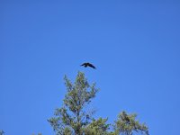 20251006_110715.jpg 20251006_110715.jpg