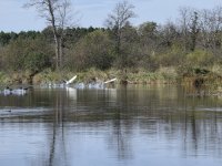 20251006_114007(0).jpg 20251006_114007(0).jpg