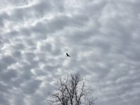 20251006_125804.jpg 20251006_125804.jpg