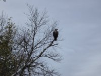 20251006_143600.jpg 20251006_143600.jpg