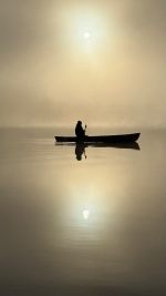 1762271648946.png 1762271648946.png