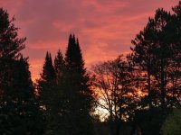 P1040102.JPG P1040102.JPG