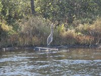 20251007_100314.jpg 20251007_100314.jpg