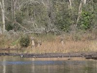 20251007_100800.jpg 20251007_100800.jpg