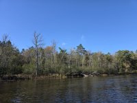 20251007_102300.jpg 20251007_102300.jpg