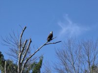 20251007_102307.jpg 20251007_102307.jpg