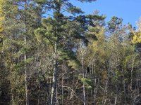 20251007_104354.jpg 20251007_104354.jpg