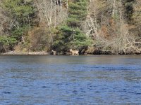 20251007_104436.jpg 20251007_104436.jpg